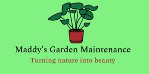 Garden Maintenance Sydney
